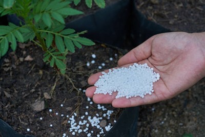 Il-Produzzjoni tal-Fertilizzanti tan-Nitroġenu fl-Ukrajna Laħqet Rekord Għoli...