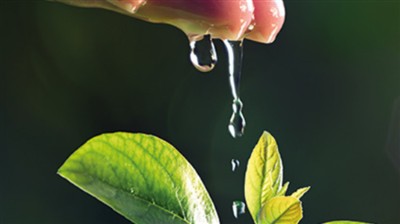 Ir-Riċerkaturi Qed Jibnu Sistema ta’ Fertilizzant Ekoloġiku Biex Jutilizzaw m...