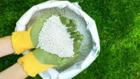 info-275-157 info-275-157