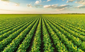 TFI Jilqa' l-Eżenzjoni tat-Tariffi fuq Prodotti Fertilizzanti