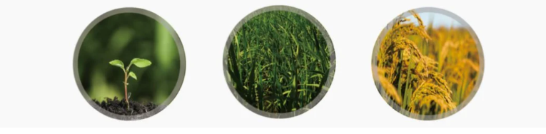 product-765-188 product-765-188