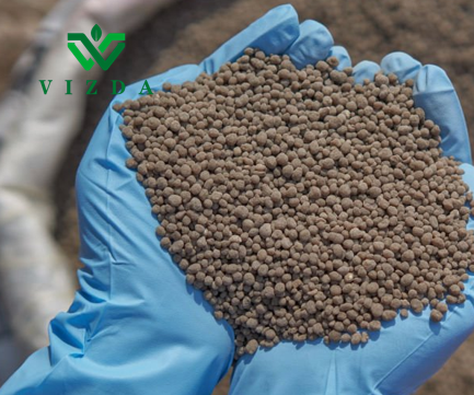 product-433-361 product-433-361