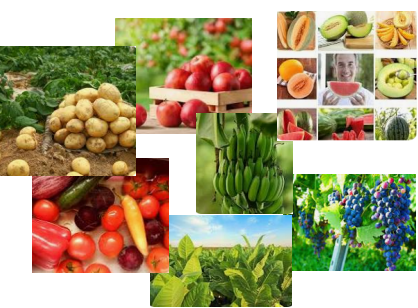 product-418-308 product-418-308