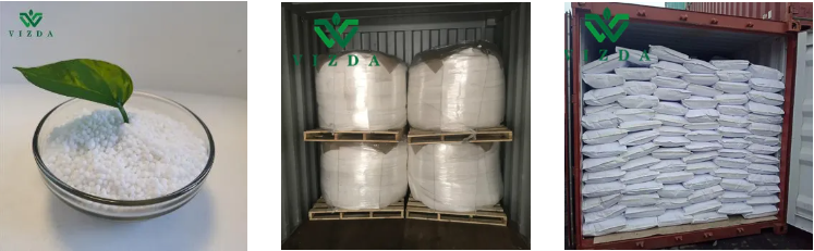 product-747-231